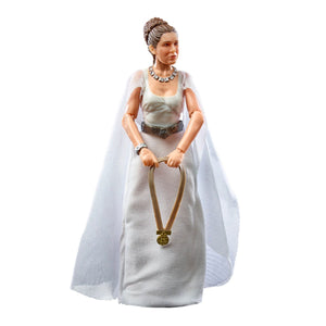 Star Wars Black Series POTF2 Princess Leia Yavin IV Exclusive Action Figure