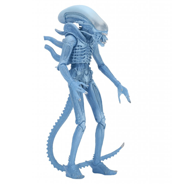 Aliens Neca Series 11 Warrior Alien Action Figure - Action Figure Warehouse Australia | Comic Collectables