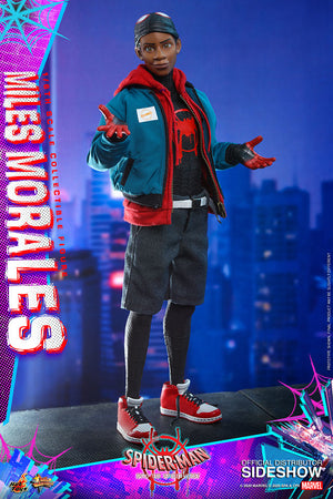 Marvel Hot Toys Spider-Man Into The Spider-Verse Miles Morales 1:6 Scale Action Figure MMS567