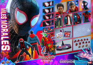 Marvel Hot Toys Spider-Man Into The Spider-Verse Miles Morales 1:6 Scale Action Figure MMS567